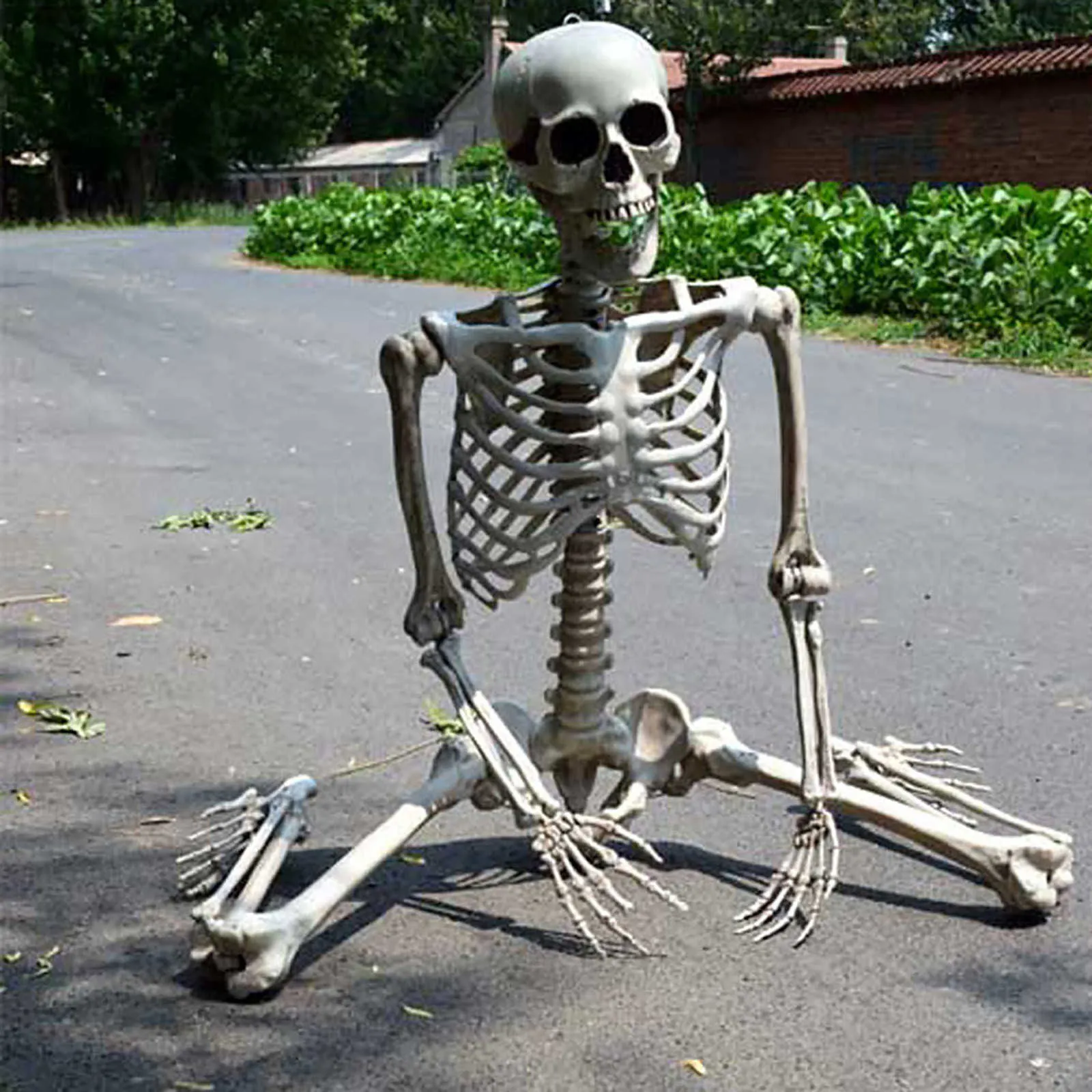 70CM Halloween Skeleton Prop Human Full Size Skull Hand Life Body Anatomy Model DecorHalloween Party Decor For Home Y09095292053