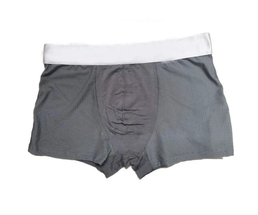 5 stHerrunderkläder Boxershorts Modal Sexig Gay Man Ceuca Boxershorts Andas Nytt Mesh Underkläder för män M-XXL