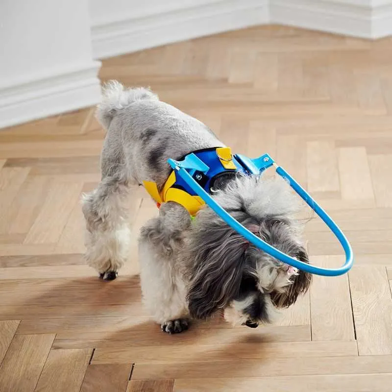 Blind Dogs Pet Safe Harness Anti-collision Ring Pets Weak Color Guide Circle Animal Protection Collar Rings 210729