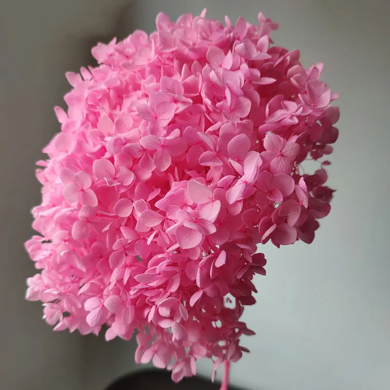 Bouquet de fleurs séchées et conservées, 1 d'hortensia Anna, 30 couleurs, 40x20cm, 30 couleurs, nouvelle décoration de jardin de bureau et de maison, 2281p