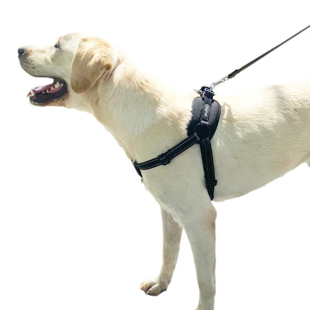犬のハーネス快適な裏地なし引っ張り調節可能な反射小さな大きな安全歩行ペットハーネスとベスト210729