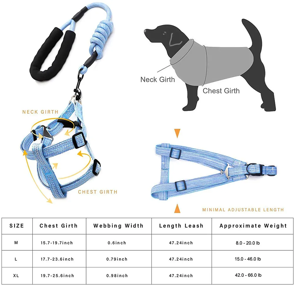Ensemble de harnais et laisse pour chien, avec collier, en Denim robuste, pour petits, moyens et grands chiens, entraînement quotidien