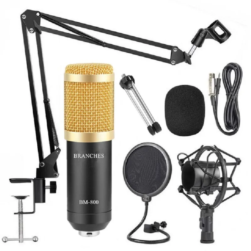 Condensateur professionnel BM microphone de Studio d'enregistrement vocal YouTube vidéo Skype chat jeu Podcast