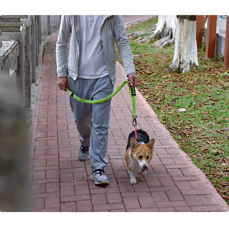 كلب السلامة الكلب مقعد حزام المقود للكلب نايلون شبكة المشي مقبض التدريب لصغيرة الكلب كبير الفرنسية البلدغ قطرة 211006