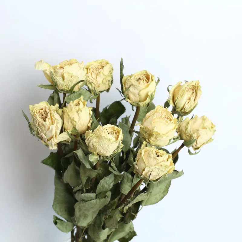 Natürliche luftgetrocknete ewige Blume Rosenstrauß Getrocknete Blume Literarische Wohnkultur Hochzeit Blume Fotografie Hintergrund DIY Großhandel 210317