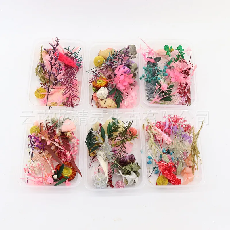 DIY Material Package Immortal Flower Boxed Mixed Dried Flower Candle Aromatherapy Handmade Group Fan Embossed Photo Frame Material Package Photography Props