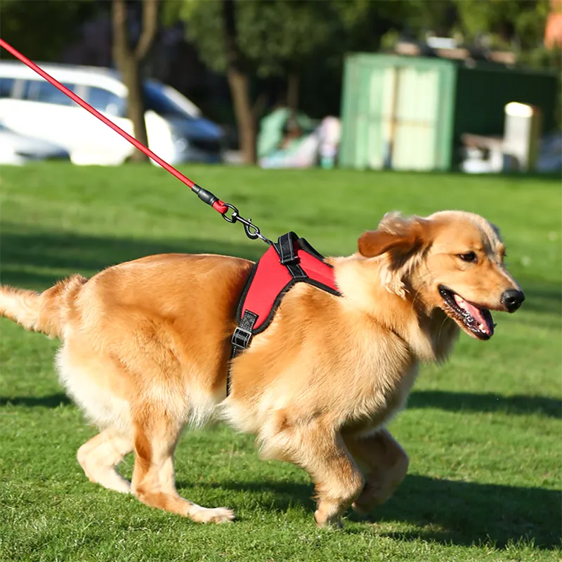 Pettorina cani in nylon riflettente regolabile imbracatura animali domestici di taglia media e grande, forniture passeggiate all'aperto