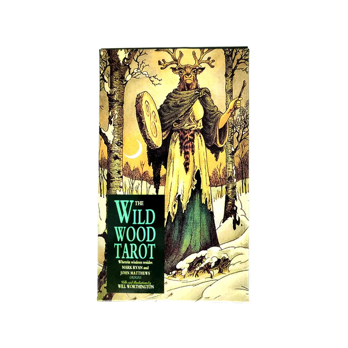 The Wild Wood Tarocchi Carte Guida Mistica Divinazione Intrattenimento Feste Gioco da tavolo Supporta il commercio all'ingrosso 78 fogli/scatola