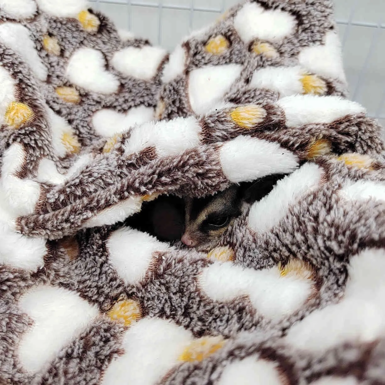 Winter Warme Haustier Fleece Maus Frettchen Meerschweinchen Käfig Hängen Bett Nagetiere Hängematte für Hamster Kleine Tier Liefert