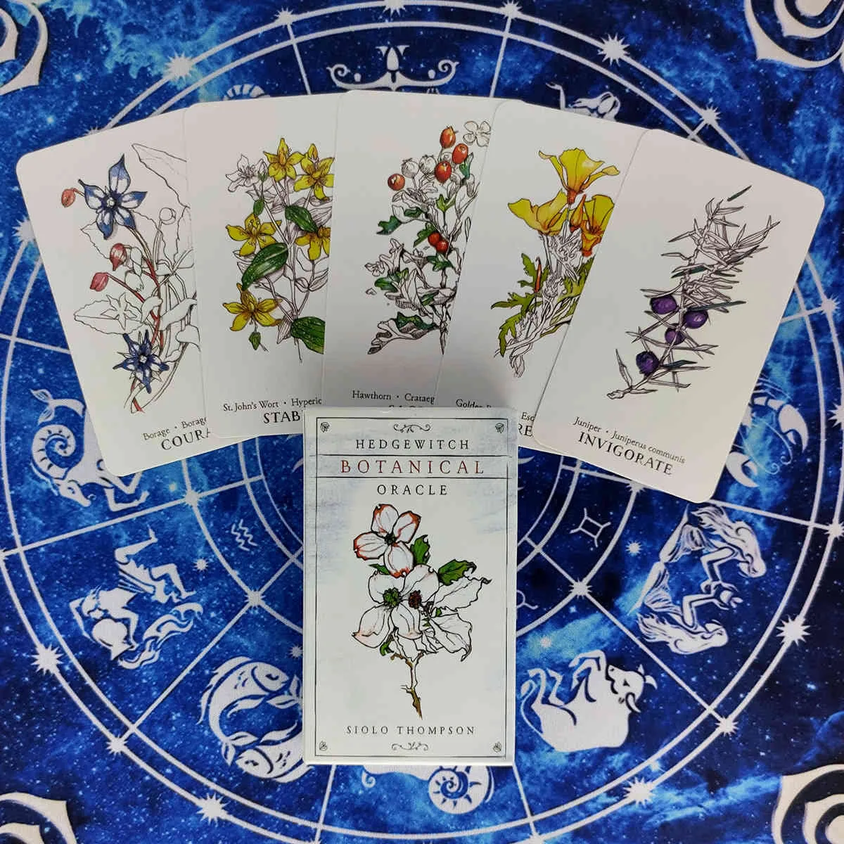 New Hedgewitch Botanical Oracle Cards And PDF Guidance Divination Tarot Deck Entertainment Parties Gioco da tavolo 40 Pz / scatola