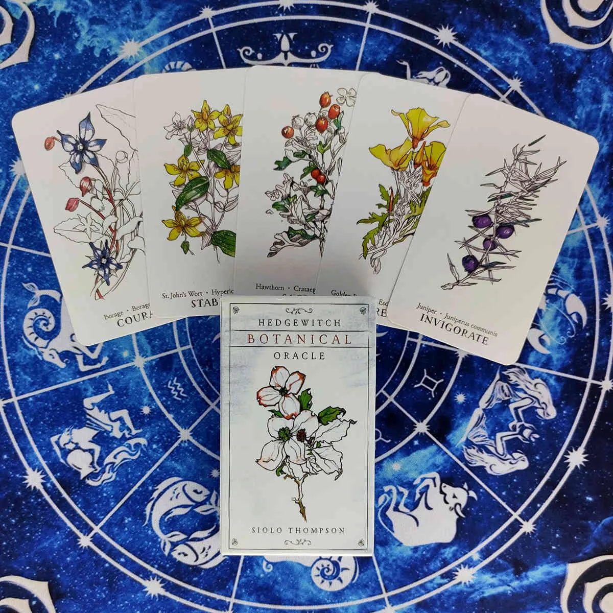 Nuevas tarjetas de oráculo botánico Hedgewitch y guía en PDF, cubierta de Tarot de adivinación, juego de mesa para fiestas de entretenimiento, 40 unids/caja