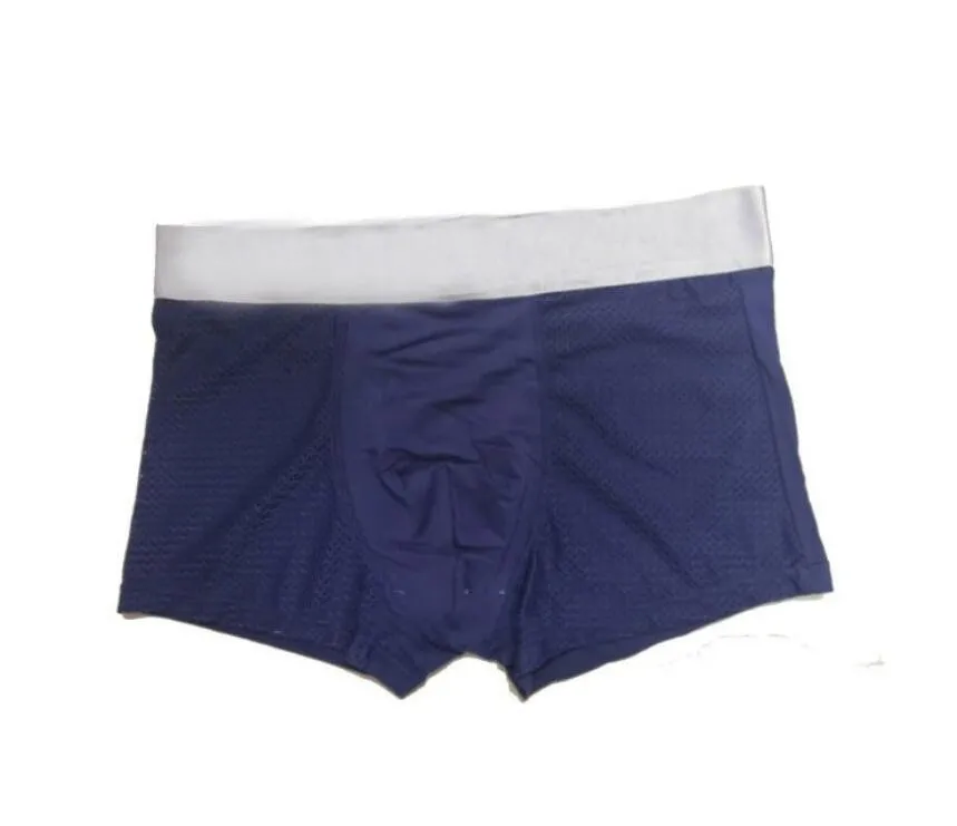 Mens Underwear Boxer Shorts Modal Sexy Gay Male Ceuca Boxers Underpants Breathable New Mesh Man Underwear M-XXL