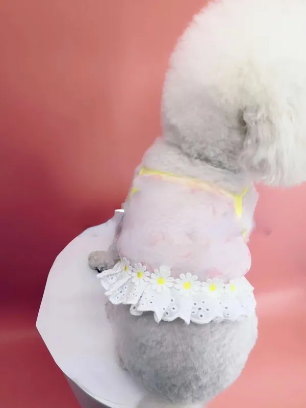 Ropa de perro ropa de mascotas vestido ropa moda perro transparente gasa chaleco