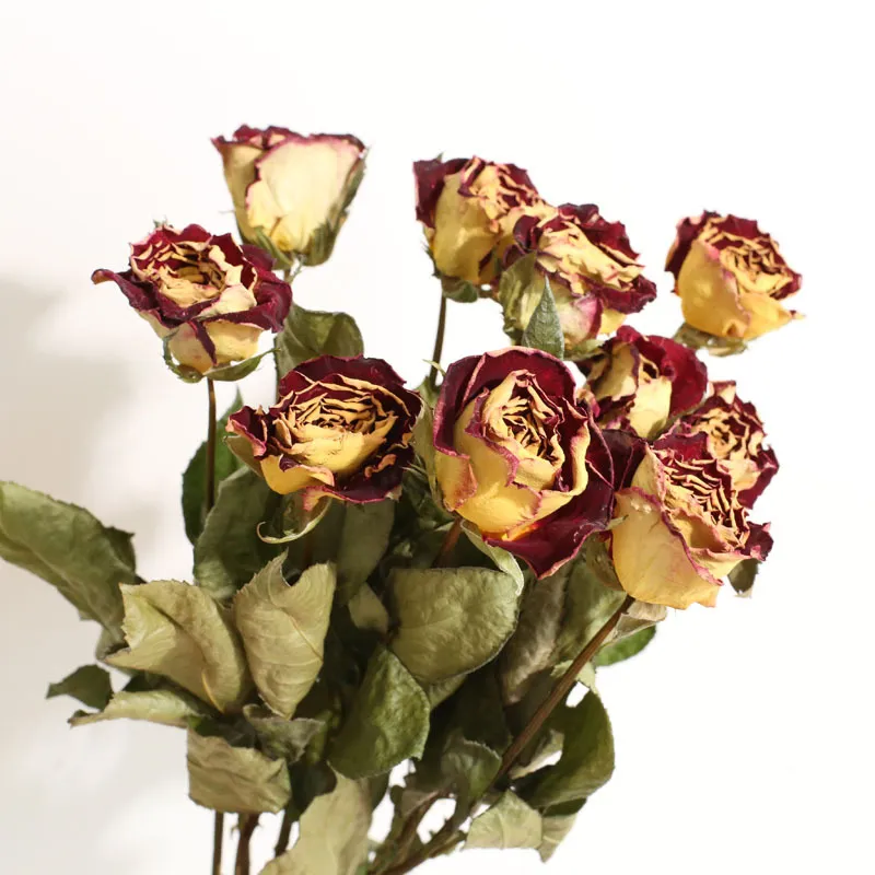 Naturel séché à l'air éternelle fleur rose bouquet fleur séchée littéraire décor à la maison mariage fleur photographie toile de fond bricolage en gros 210317
