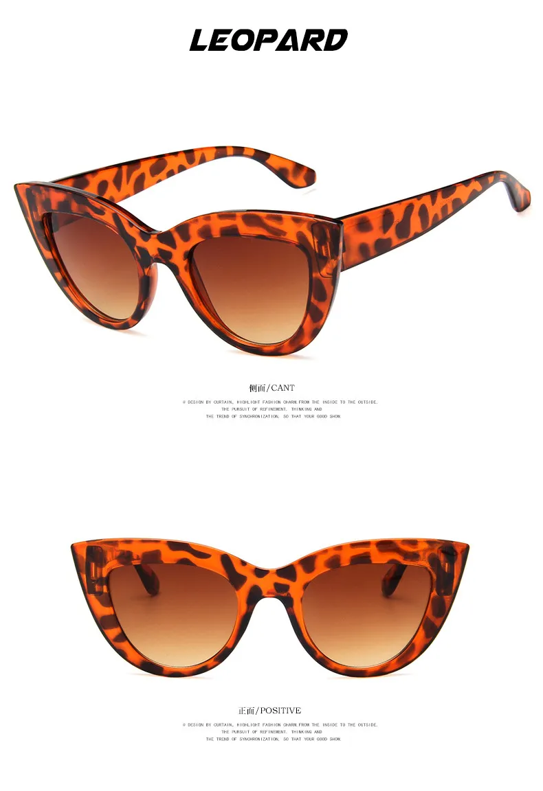 نظارة شمسية قطة قطة خمر ، مصمم علامات تجارية مصممة الشمس ، الأزياء الإناث في الهواء الطلق.