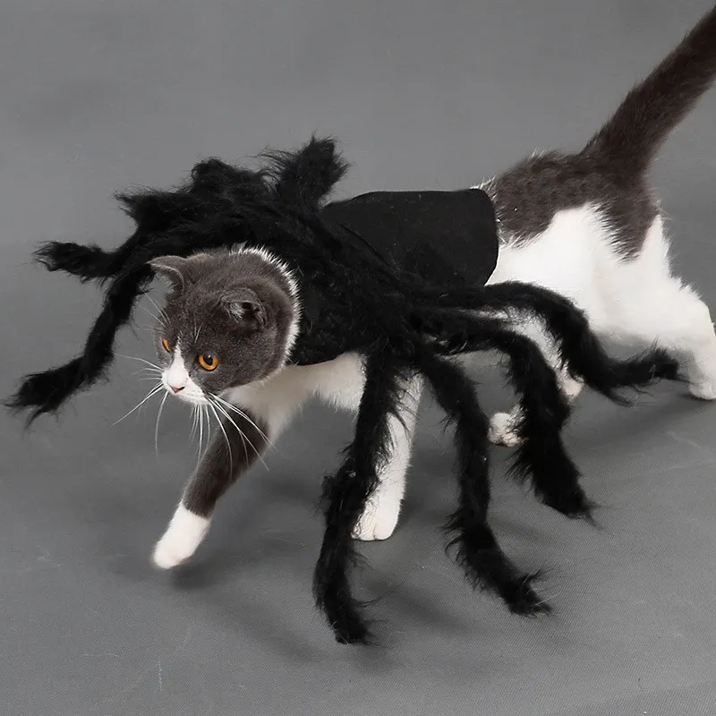 Huisdier Super Grappige Kleding Aankleden Accessoires Halloween Kleine Hond Kostuum Kat Cosplay Spider296H