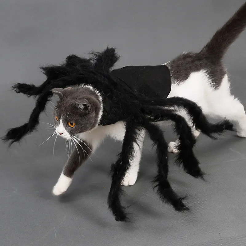 Pet Super Funny Clothing Dress Up Accessori Halloween Costume cani di piccola taglia Cat Cosplay Spider296H