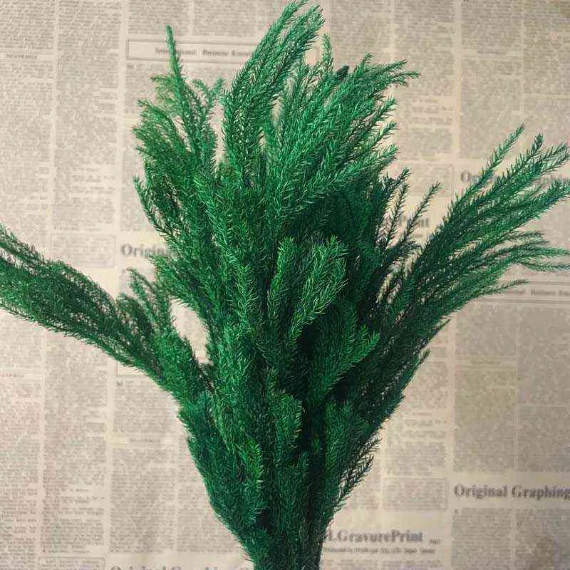 20-30 cm/30g REAL Torkad naturlig färsk för alltid lycopodiumgrenar, dekorativ klubbmossbukett, torrt konserverat evigt gräs, hem 220112
