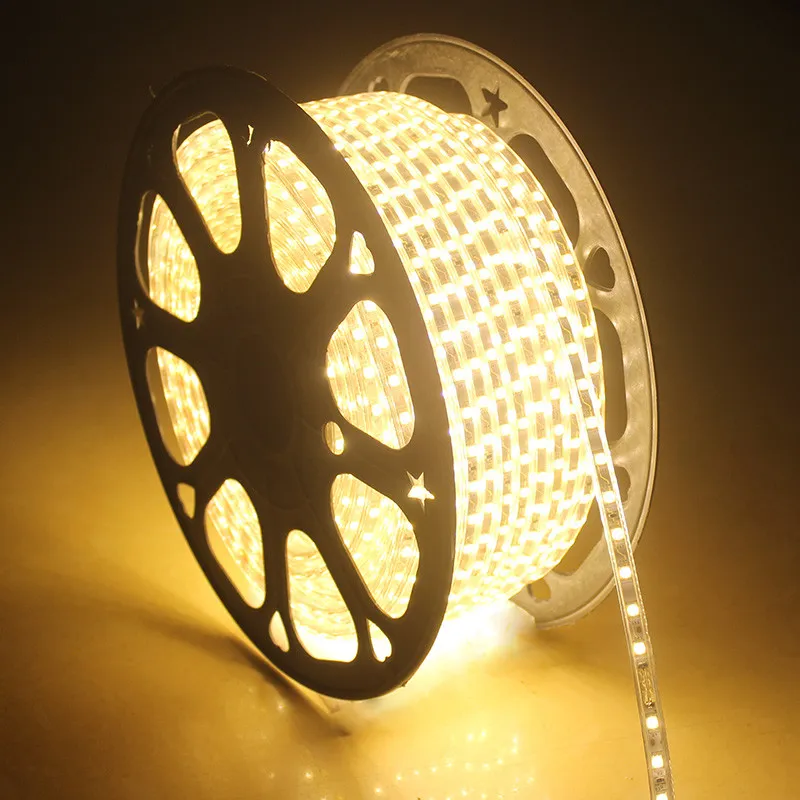 Bande lumineuse LED rgb étanche, ruban 5050, 220, tige flexible, 220v, 60 diodes, M, éclairage avec prise ue 204o