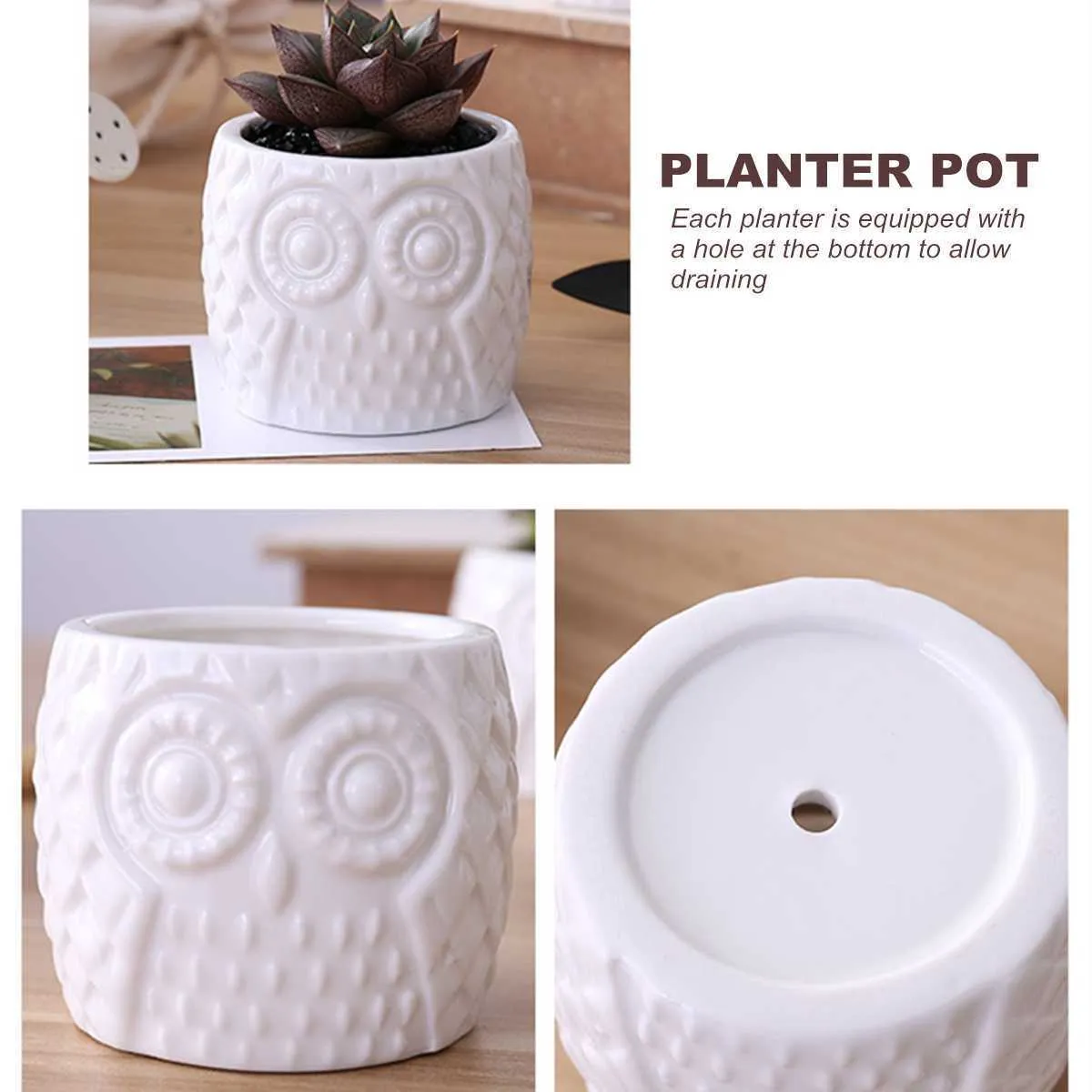 2 Styles de Pots succulents en céramique, jardinière de jardin pour plantes, Pot de bonsaï, ensembles de supports de plantes en bambou Y09101540768