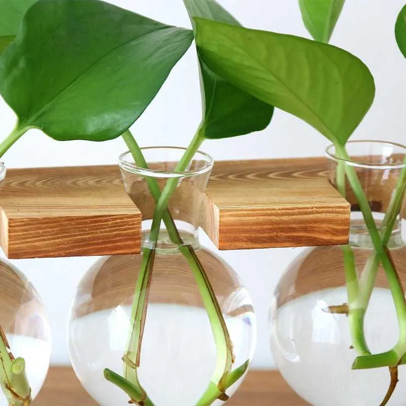 Drop Terrarium Creative Plante hydroponique Vase transparent Cadre en bois Décoration Verre Table Plante Bonsai Décor 210623