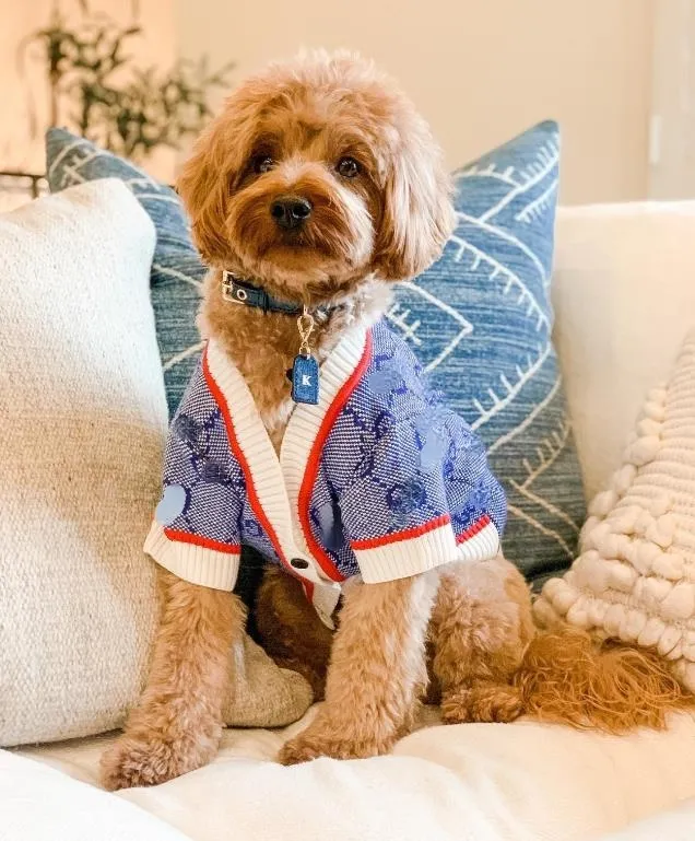 Klassiek ontwerp huisdierkleding hond herfst winter blauw gebreide vest verdikte trui