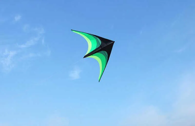 カイトフリーヒッピング2m大きな空飛ぶおもちゃラインキッドファクトリーデルタフライトカイトトリングリールビーチウィンドオウムゲーム0110
