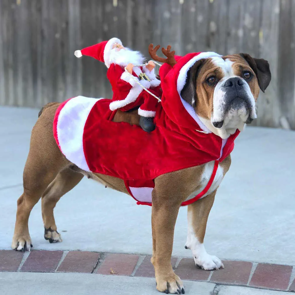 Hond Kerstkostuum Santa Claus Paardrijden Kleding Winter Warm Puppy Jas Hoodies Jas voor Kleine Medium Pet Outfits 211007