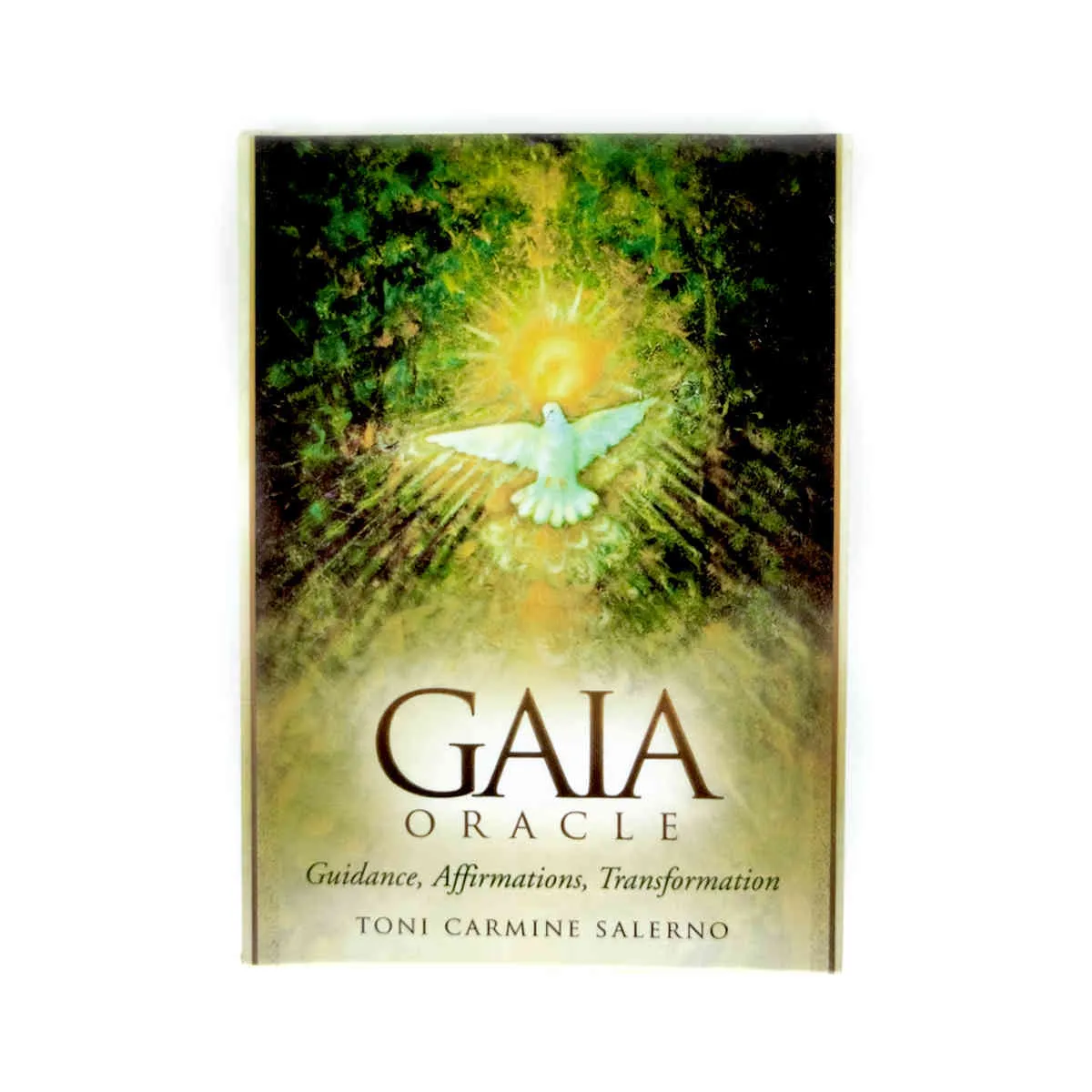 La carte oracle Gaia cartes Tarot guidage mystique Divination divertissement Partys jeu de société prend en charge en gros 45 feuilles/boîte