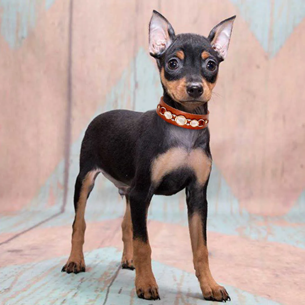 Fashion Leather Dog Collar French Bulldog Pet Collar Perro For Small Medium Dogs Metal Accessories Pet Collars 210729