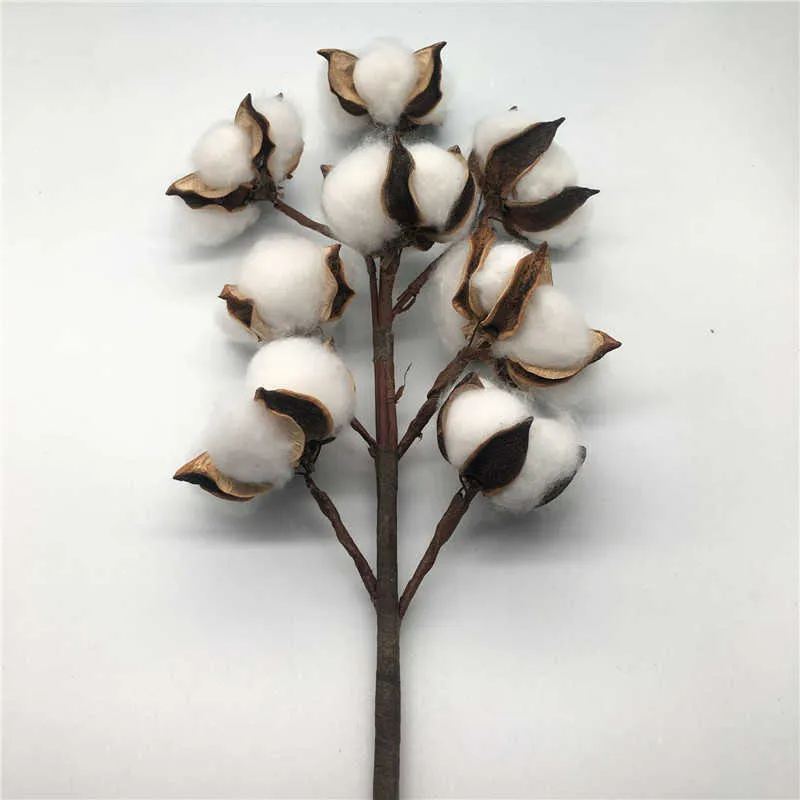 Cotton Flowers Artificial Plants Naturally Dried Floral Branch DIY Gifts Home Wedding Decoration Home Artificial Cotton Dried Flower Decor