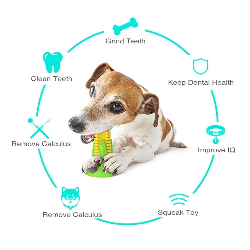 Hund Zahnbürste Kauen Spielzeug Molaren Stange TPR Stick Mais Zahnen Reinigung Dental Toys263w