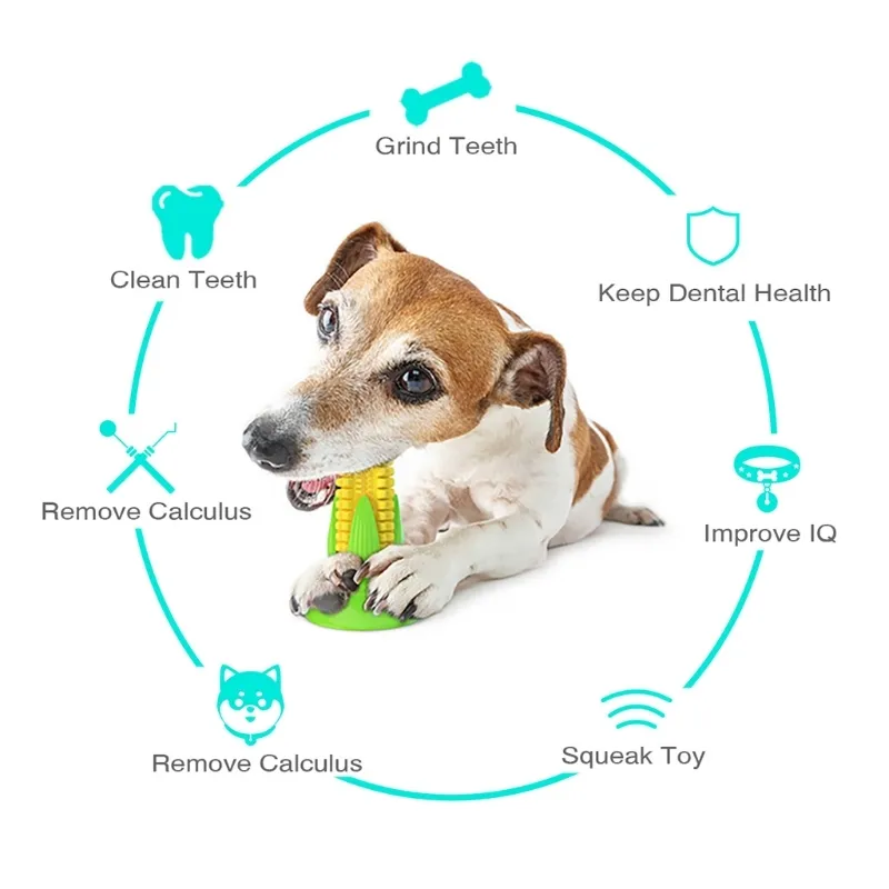 犬の歯ブラシチュートイモルロッドTPRスティックコーンの歯の掃除歯科用おもちゃ268W