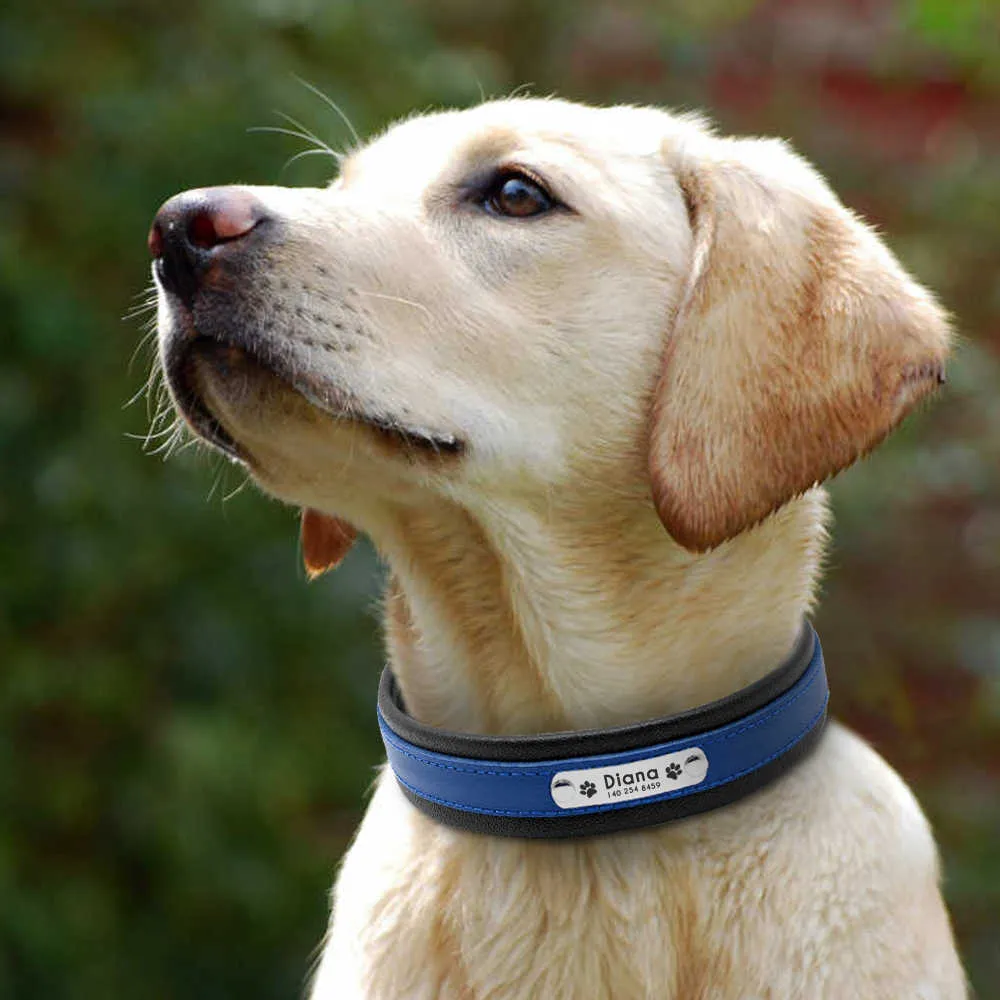 Spersonalizowane skórzane obroże dla psów Custom Grawerowane ID Tag Collar do średniego Duży Pitbull Bulldog Bull Terrier German Shepherd 210729