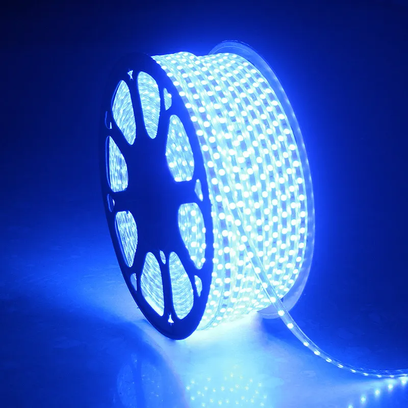 Bande lumineuse LED rgb étanche, ruban 5050, 220, tige flexible, 220v, 60 diodes, M, éclairage avec prise ue 204o