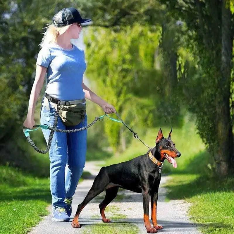 Laisse de chien mains libres Ensemble de laisse de chien rétractable Ceinture réglable pour petit, moyen entraînement Course à pied Marche Durable 210712