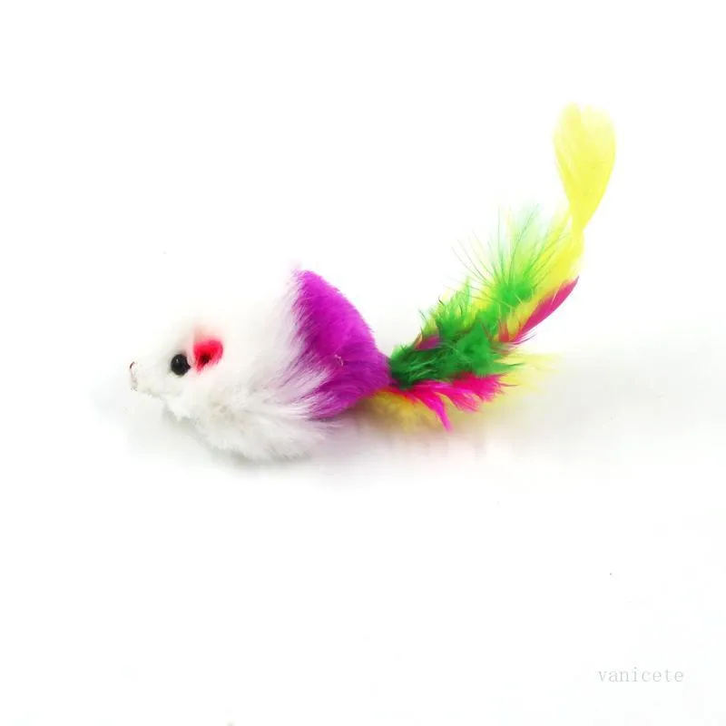 Colorido Pluma Grano Pequeño Ratón Gato Juguete Para Gato Pluma Divertido Jugar Mascota perro Gato Pequeños Animales juguetes de plumas Gatito T2I51767