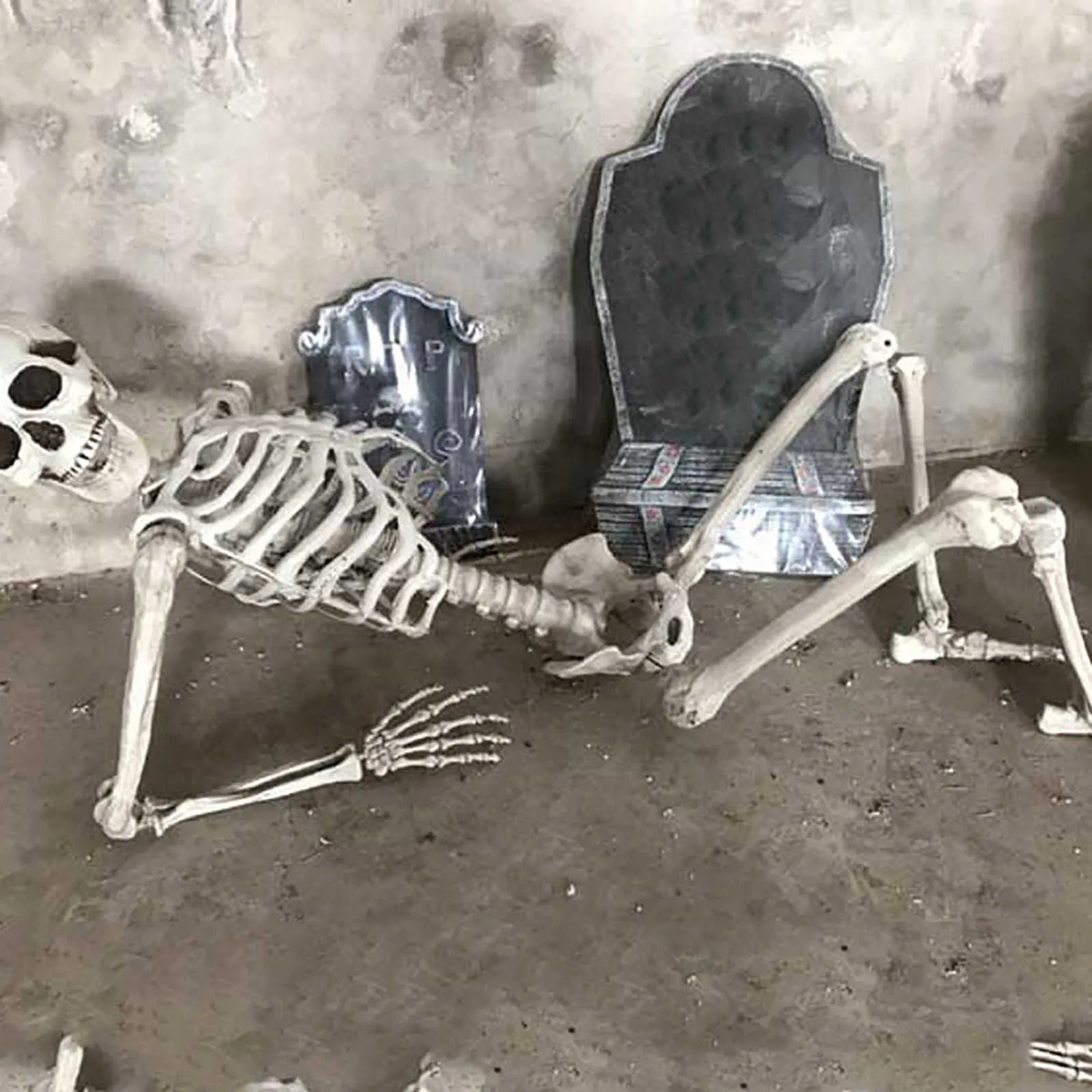 70 cm halloween skelett prop mänsklig fullstor skalle hand liv kropp anatomi modell dekorhalloween festdekor för hem y0909282m