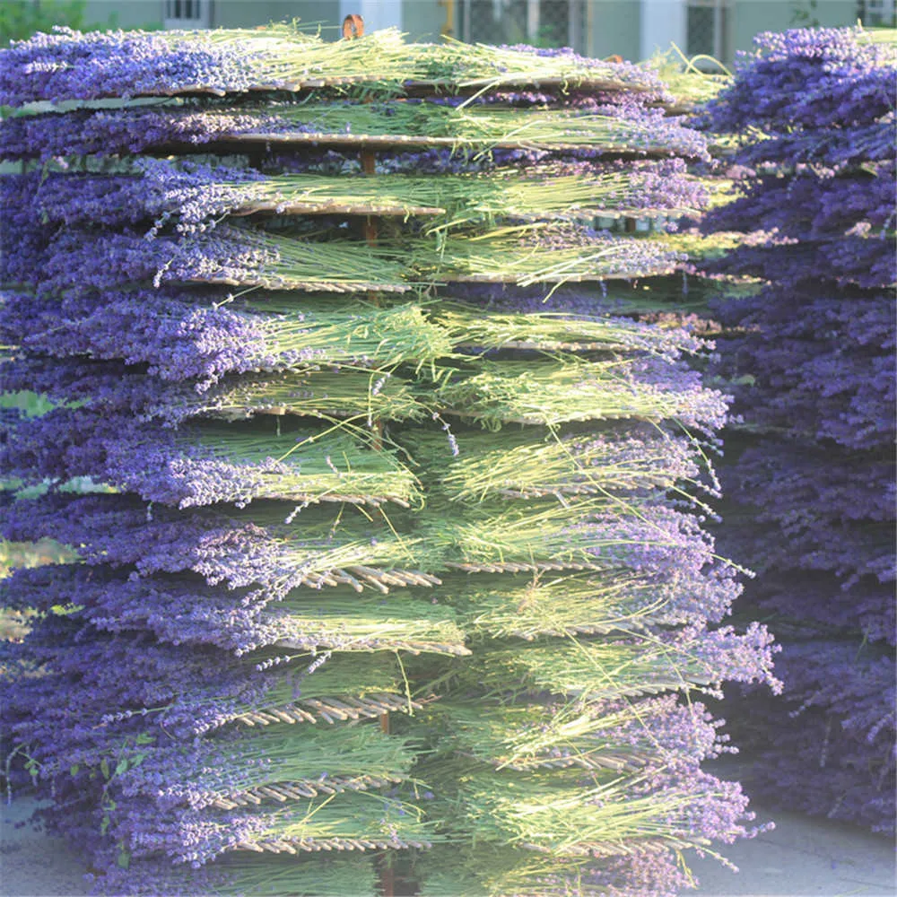 100g natürliche getrocknete Lavendelblumen Bündel Buds Frisch Hochzeitsdekoration Bouquet Aromatherapie 210706947575555