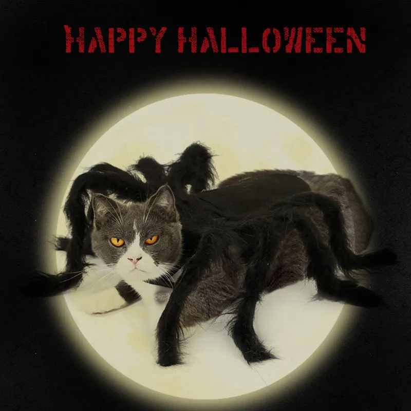 PET Super Funny Flound Speed ​​Accessessesure Halloween маленький костюм для собак кошка косплей Spider296h