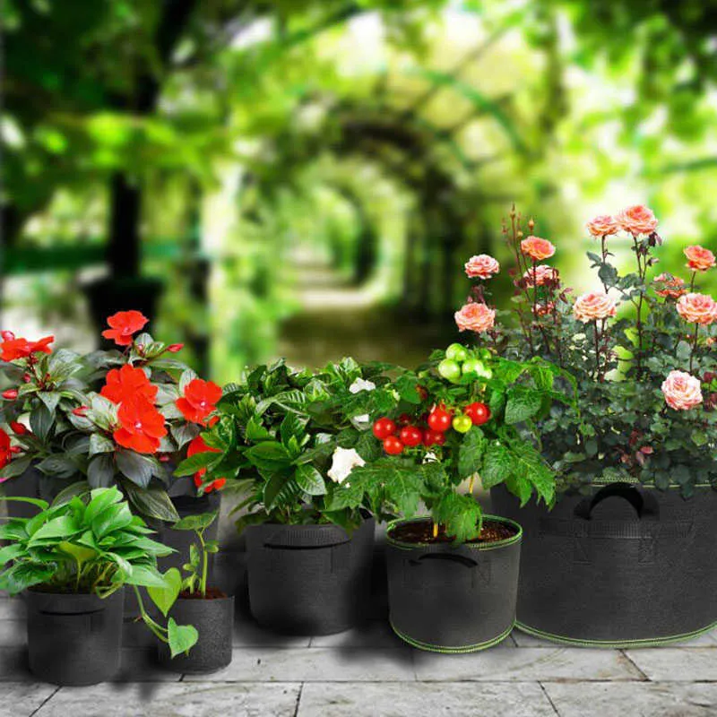 5 pz/lotto 1 3 5 10 galloni tessuto pianta Grow Borse crescente Vasi da giardino Verdura patata fiore Piantare Contenitore Vivaio giardinaggio 210615