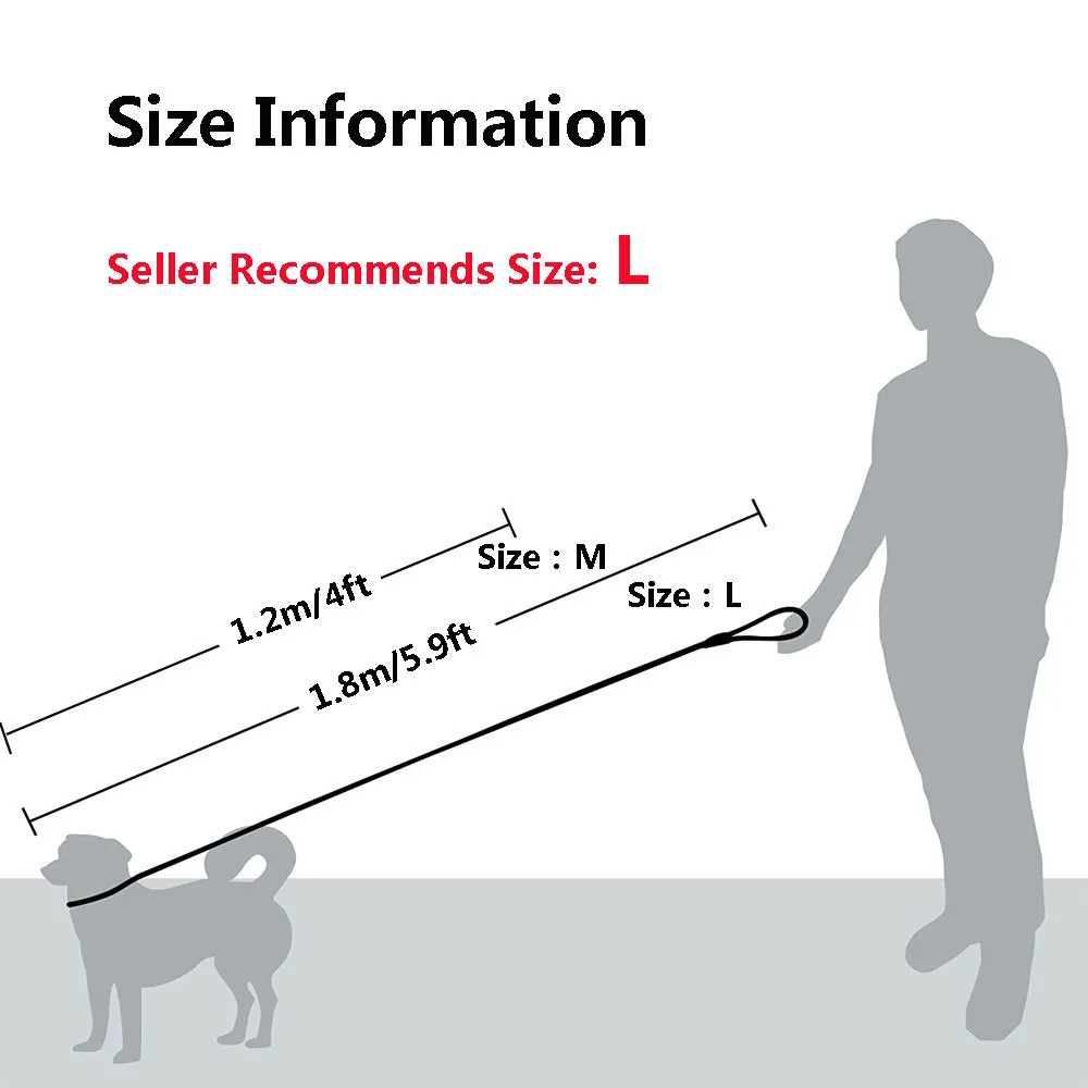 Corde antidérapante durable pour chien Collier à boucle réglable Laisse confortable prend en charge les chiens de grande taille et de taille moyenne les plus puissants