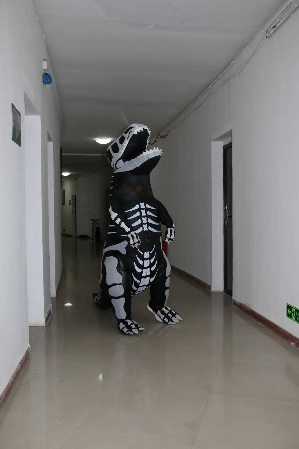  Skeleton Inflatable Dinosaur (5)