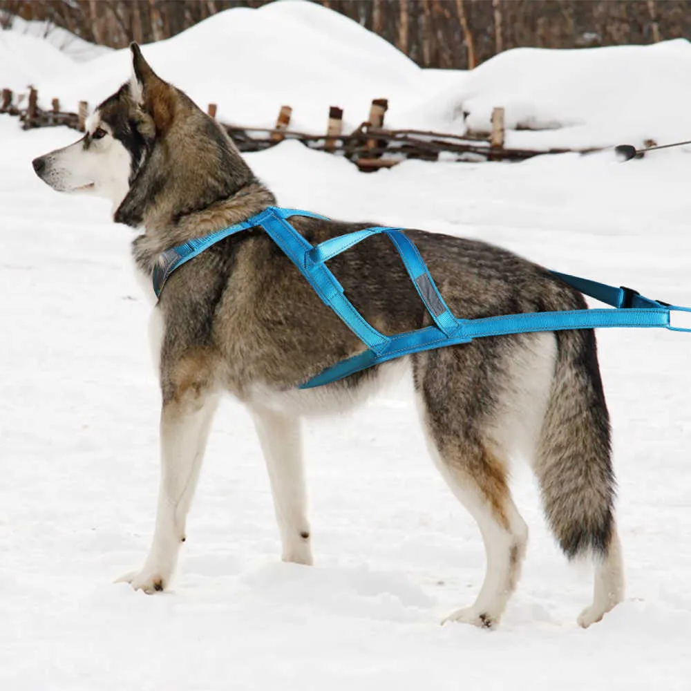 Arnés de trineo para perros Peso del animal doméstico Arnés de tracción Mushing X Arnés de espalda para perros grandes Entrenamiento Ejercicio de trabajo Skijoring Scootering 211006