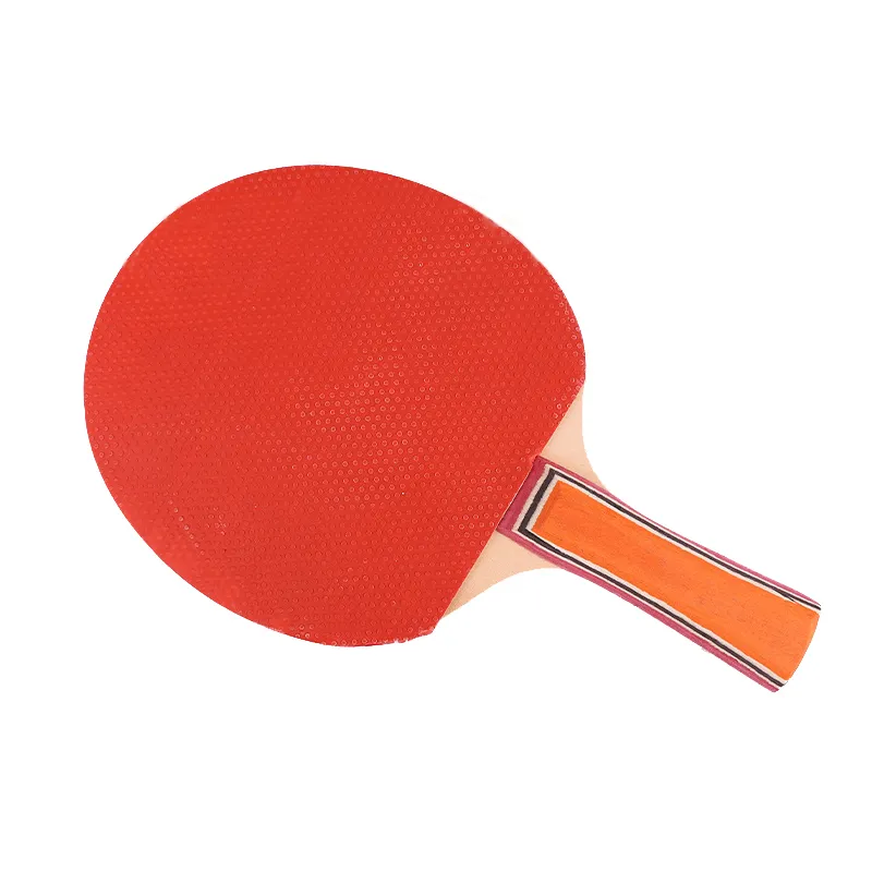 Cbmmaker profissional tênis de mesa esportes trainning conjunto raquete lâmina malha net ping pong estudante equipamentos esportivos simples portátil 1155520