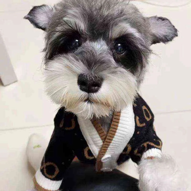 개 스웨터 버튼 니트 고양이 겨울 옷 Teddy Bichon Schnauzer S 작은 옷을 입은 SPET 220125에 ​​대 한 따뜻한 강아지