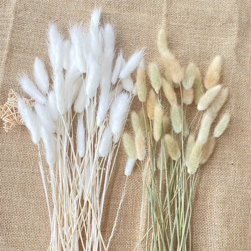 Pampas Herbe Fleurs Naturelles Séchées Queue De Lapin Herbe Maison Salon Decoracion Accessoires Blanc Et Or Mariage Décor Y0728