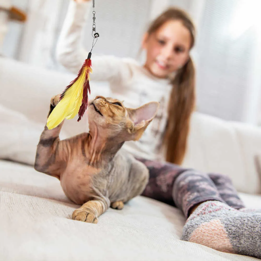 11 pezzi di ricambio gatti set di giocattoli in piume giocattoli divertente bastone gatti con campana giocattolo in piume interattivo gatto gioca giocattolo drop 210929