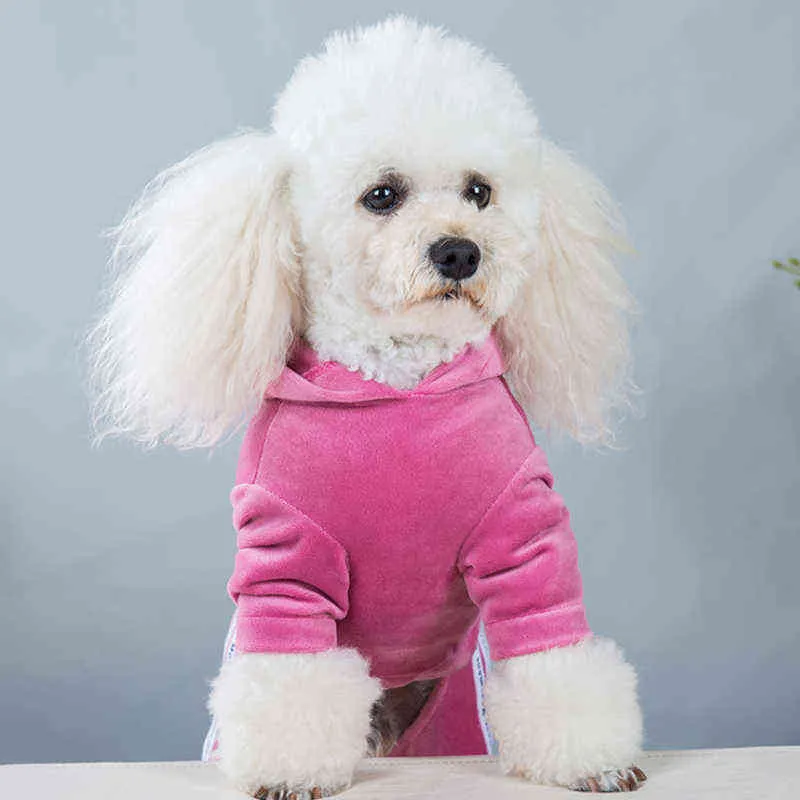 Мода письмо Pet Dog Одежда собаки Кошки пальто толстовки толстовки щенка для домашних животных для домашних животных домашних животных