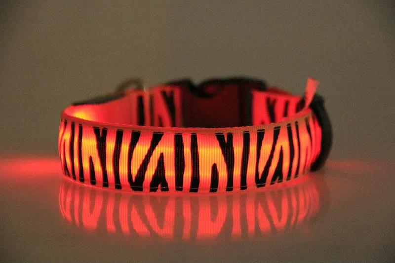 Blinkende Haustier-Kragen beleuchteten herauf Nylon-LED-Hundehalsbänder bunten geführten Zebraartkragen 2.5m Breite 8 Farbe S / M / L